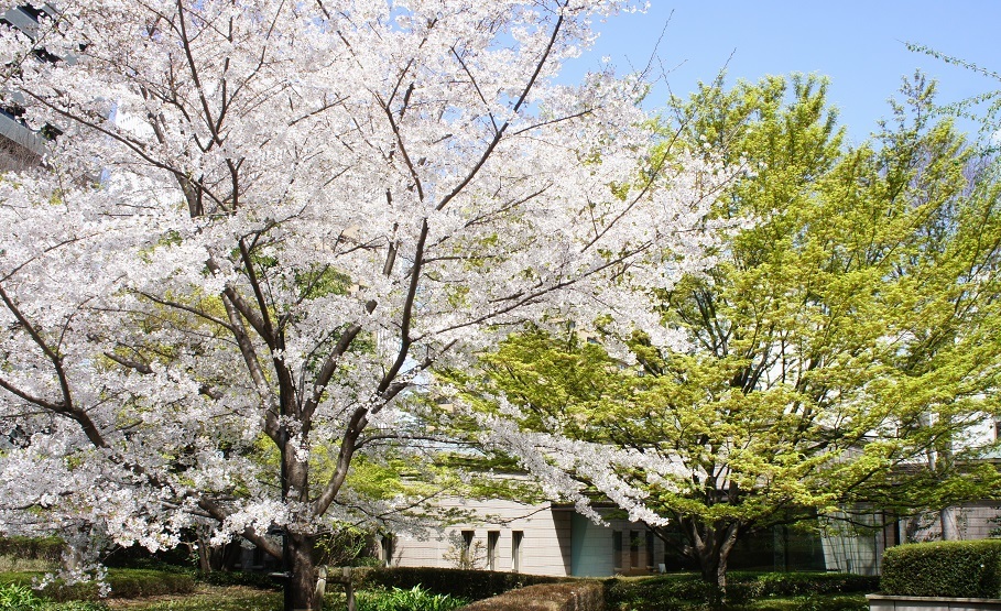 b0112909_18445890.jpg