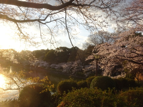 f0231709_00100830.jpg