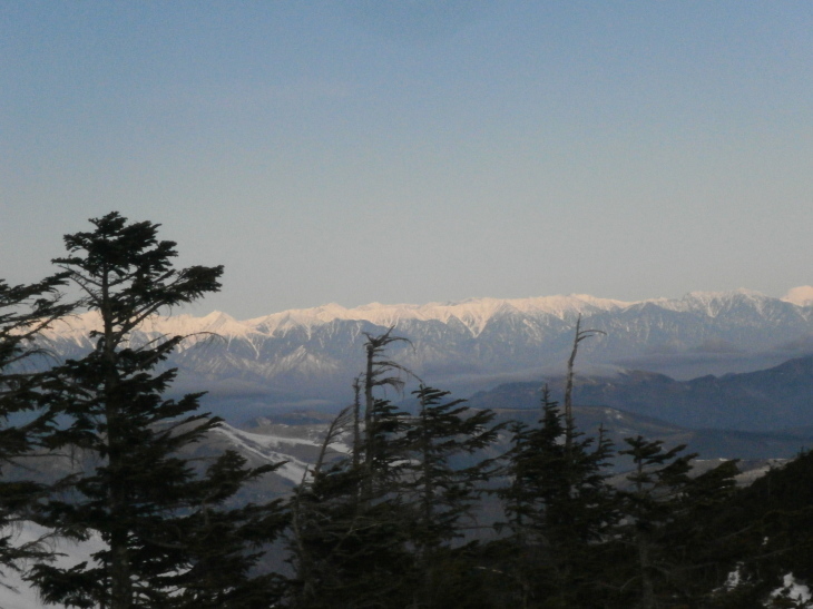 a0292610_23364091.jpg