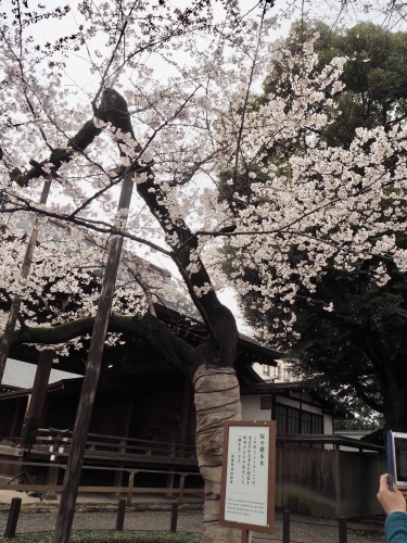 d0179410_10272672.jpeg
