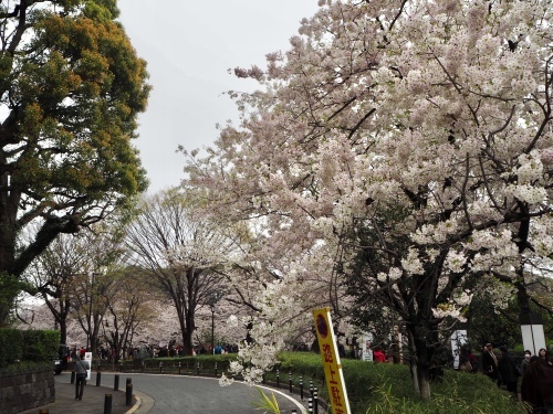 d0179410_10275861.jpeg