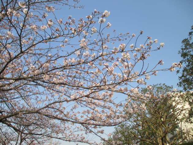 b0183111_01362788.jpg