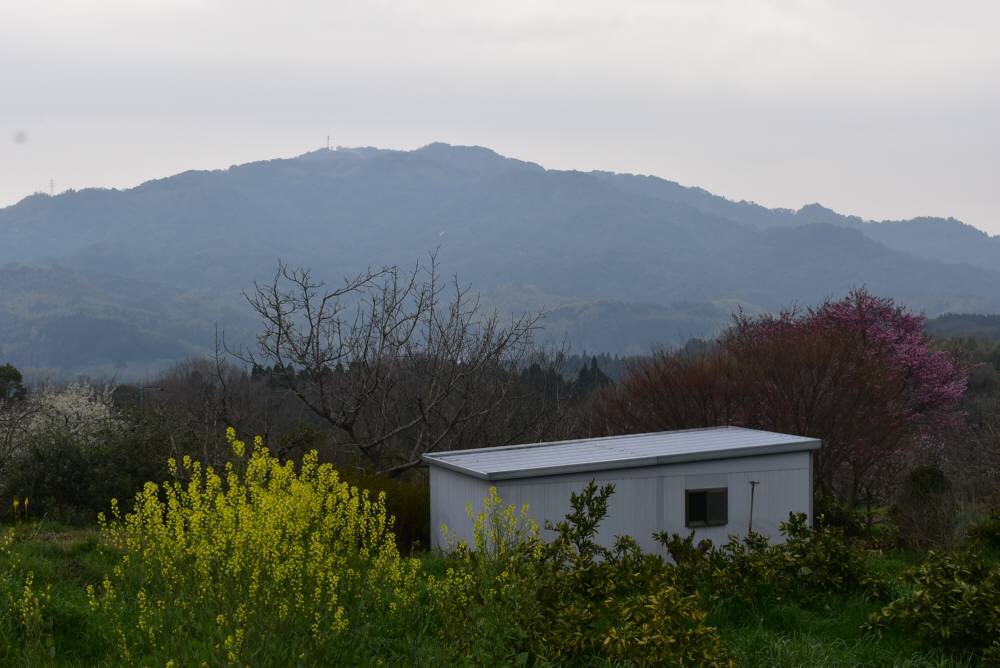 f0212511_22554020.jpg