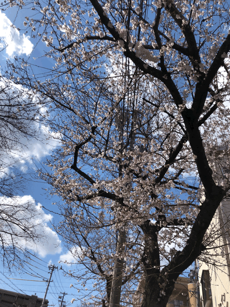 b0268815_20590711.gif