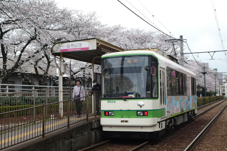 路面電車_c0051620_21415739.jpg