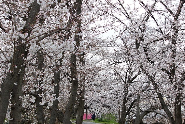 c0280322_22082007.jpg