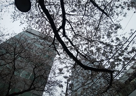 b0312424_17152273.jpg