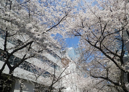 b0312424_17152351.jpg