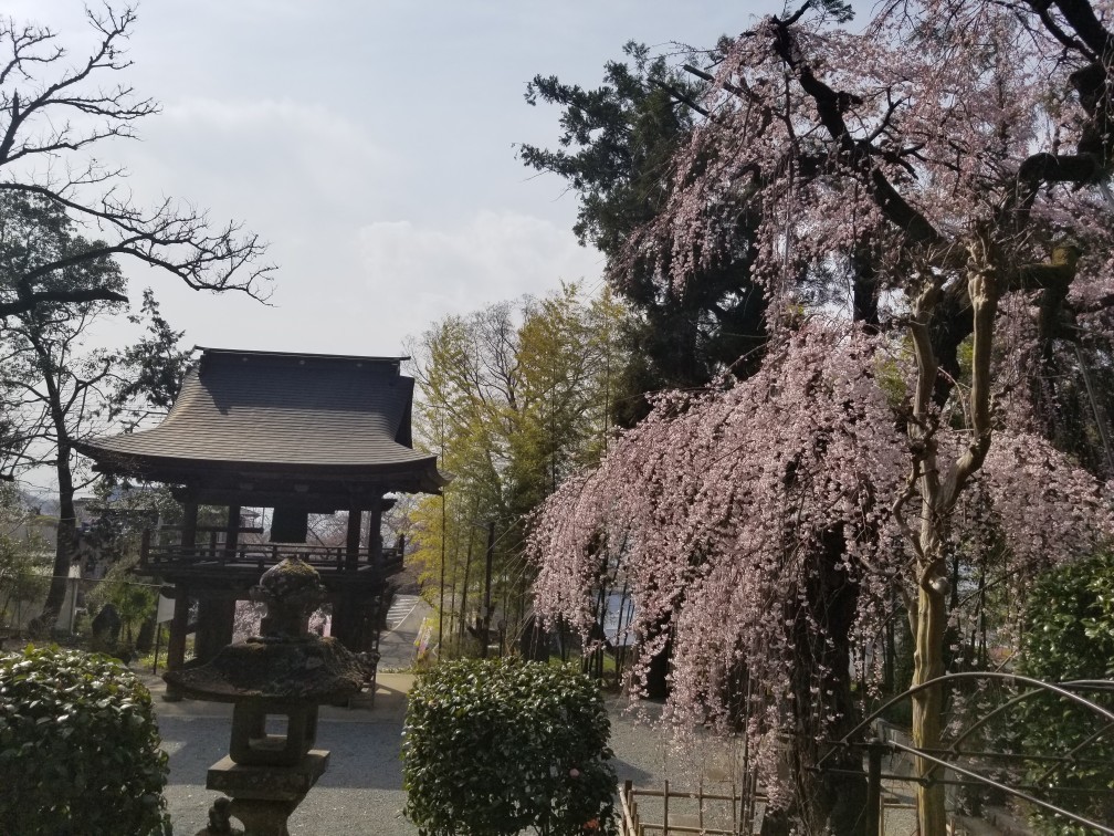 ♪花＆食求めて★山梨へ！_d0162225_00100367.jpg