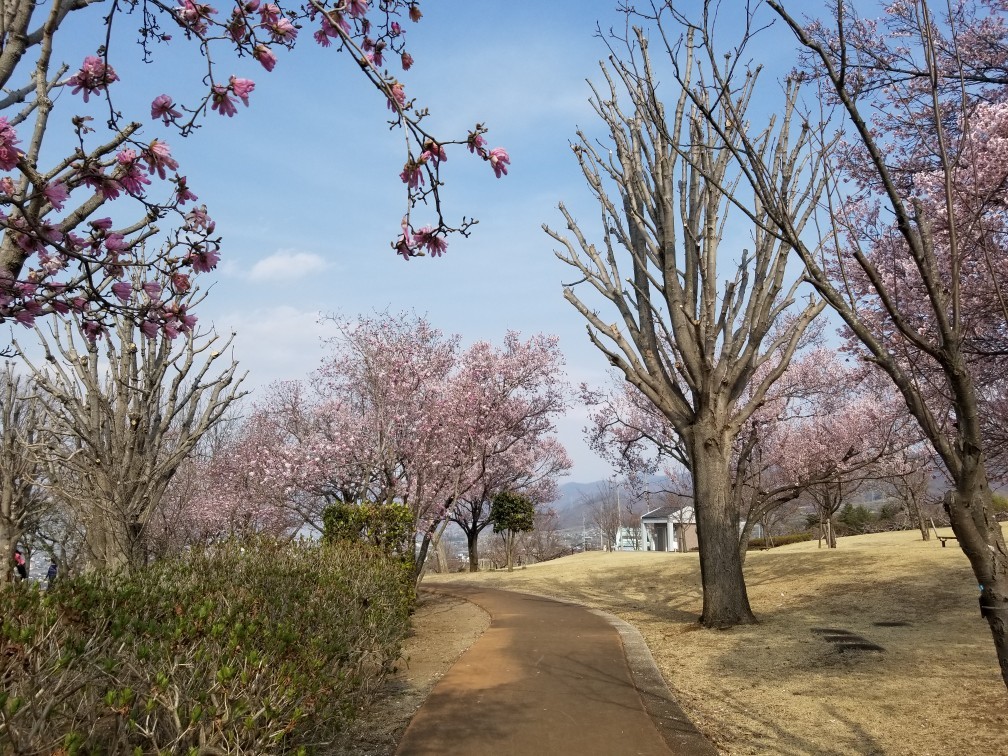 ♪花＆食求めて★山梨へ！_d0162225_00110530.jpg