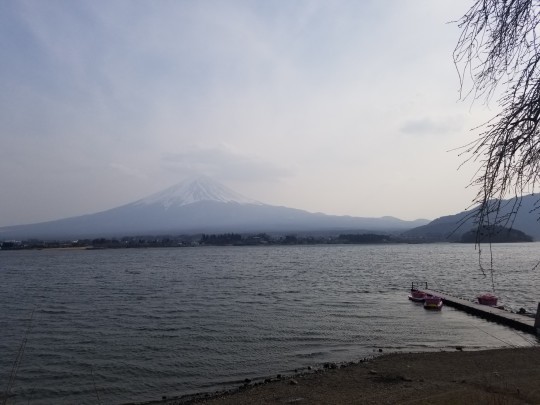 ♪花＆食求めて★山梨へ！_d0162225_00153367.jpg