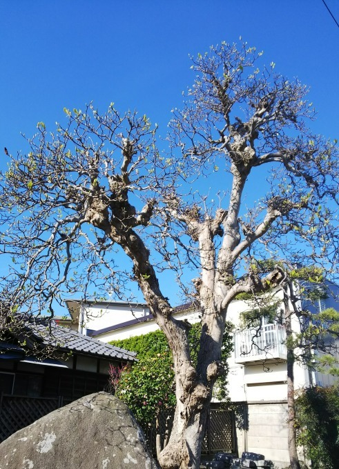 f0050625_21302826.jpg