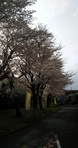 c0155326_22422534.jpg