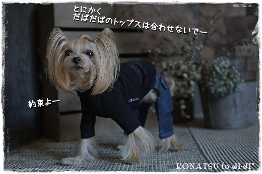 d0179828_16290879.png