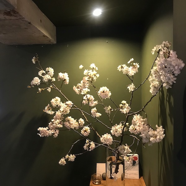 ニットと桜_d0364239_19010472.jpg