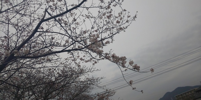 f0210439_00493458.jpg