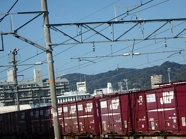 f0334143_8164241.jpg