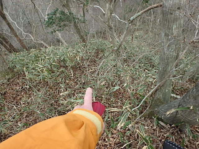 f0334143_819658.jpg