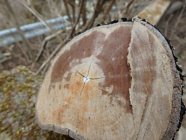 f0334143_8211025.jpg