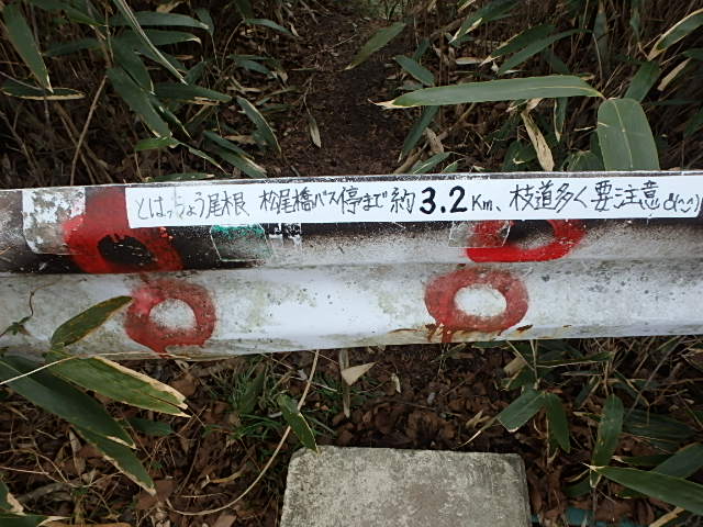 f0334143_822357.jpg
