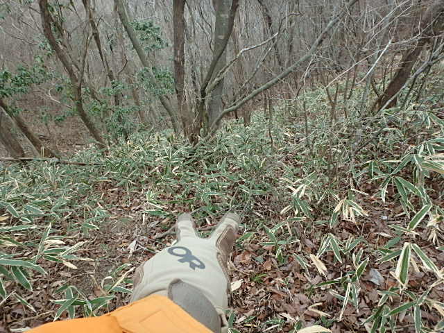 f0334143_8245110.jpg