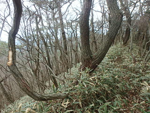 f0334143_8255686.jpg