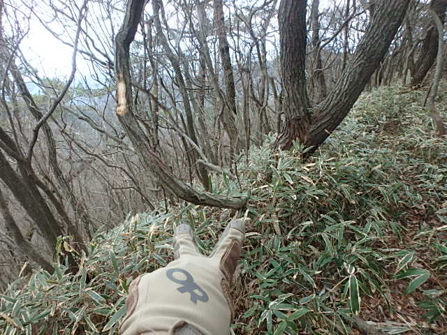 f0334143_8274362.jpg