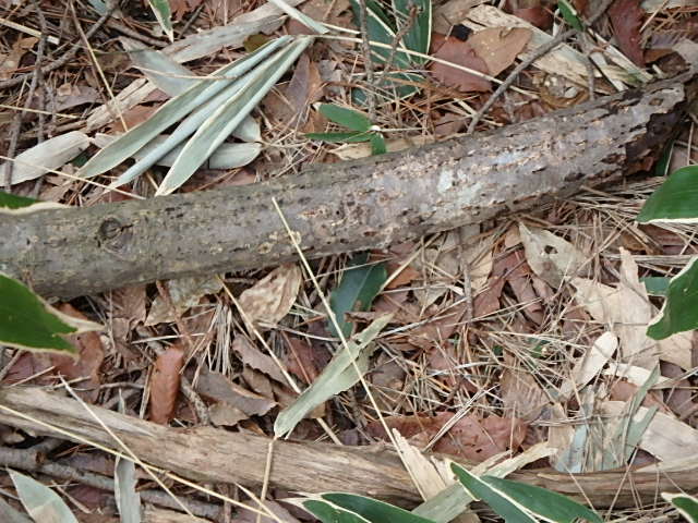 f0334143_829485.jpg