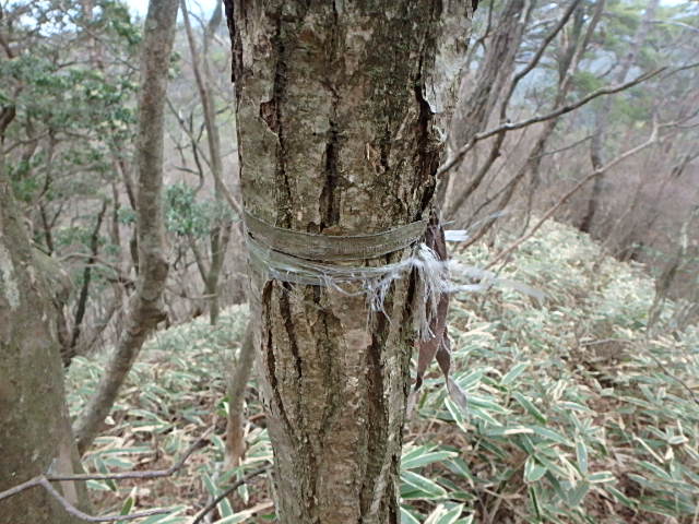 f0334143_8305110.jpg