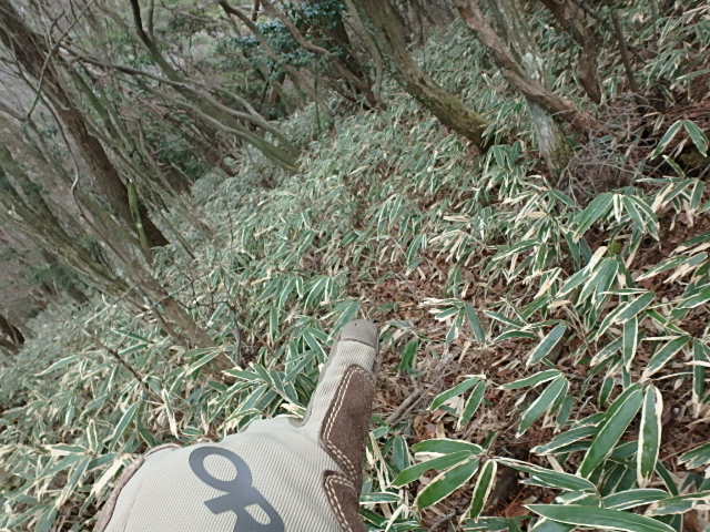 f0334143_8311147.jpg
