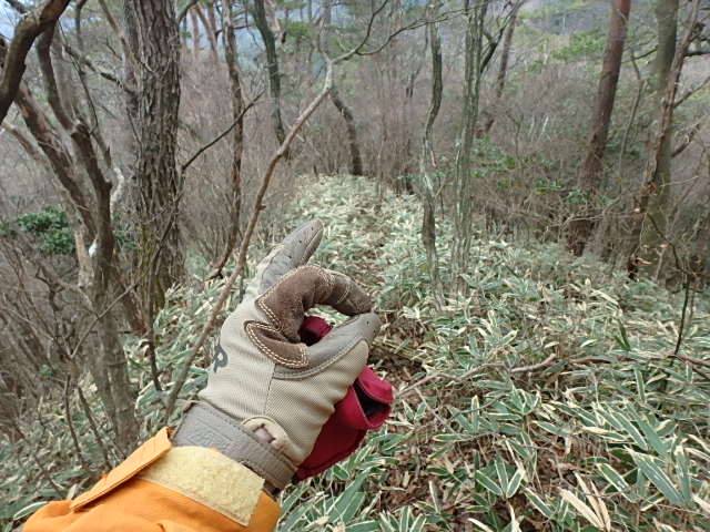 f0334143_8312079.jpg