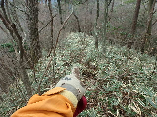 f0334143_8313829.jpg