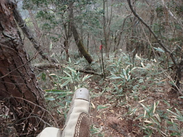 f0334143_833025.jpg