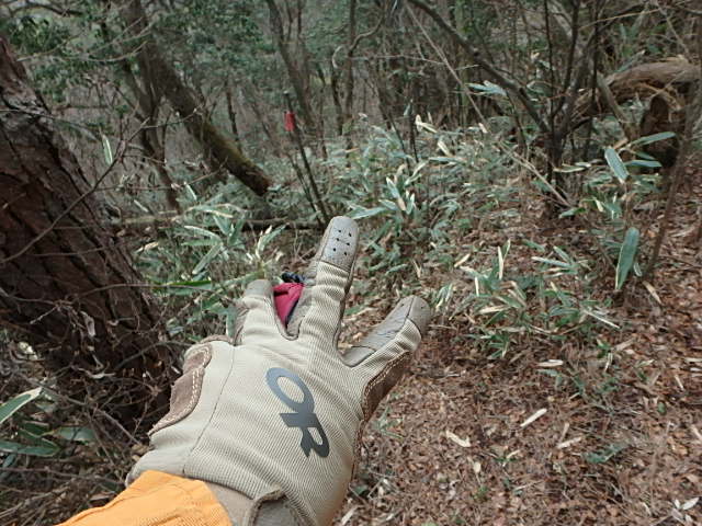 f0334143_83321100.jpg