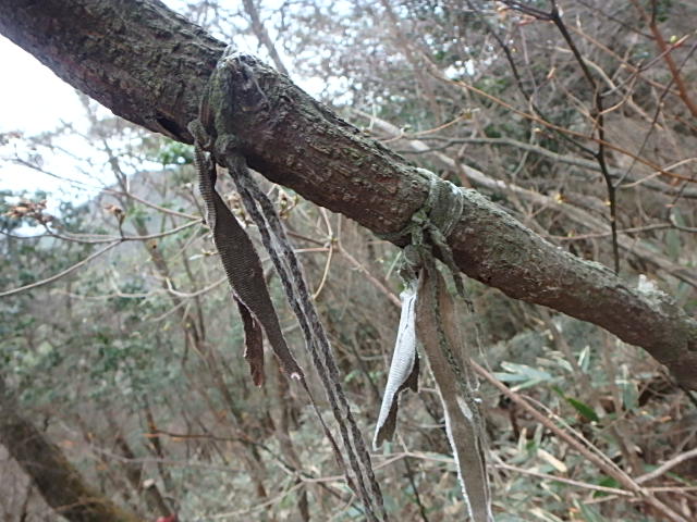 f0334143_8333724.jpg