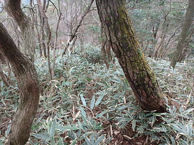 f0334143_8341514.jpg