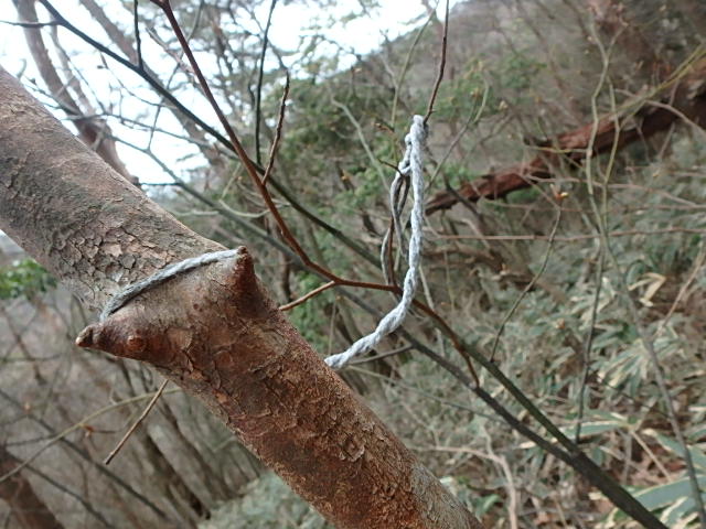 f0334143_8343483.jpg
