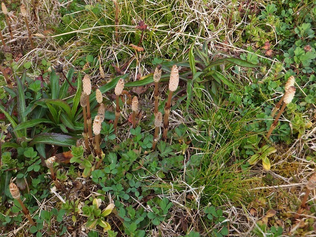 d0048350_14312589.jpg