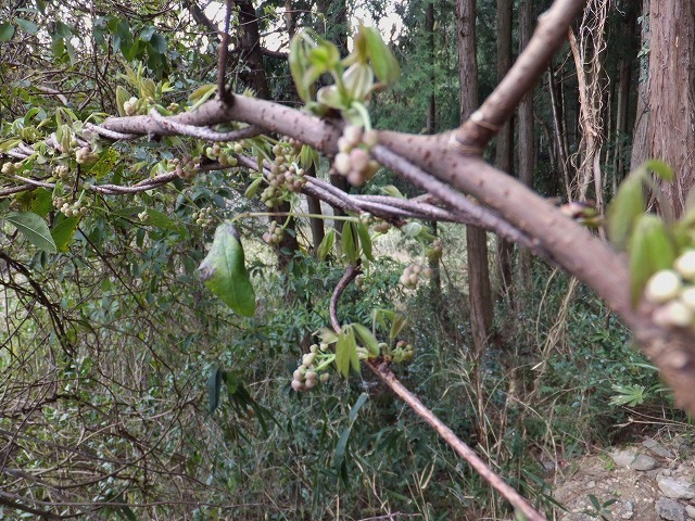 d0048350_14334271.jpg