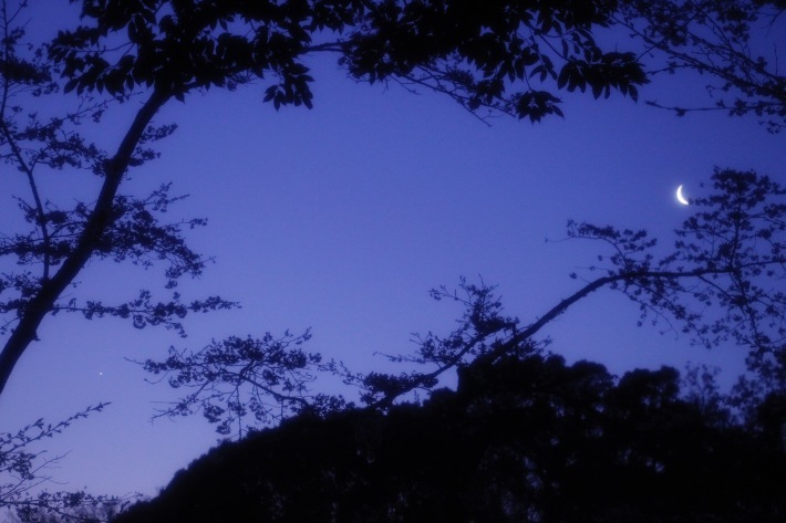 a0248459_15543981.jpg