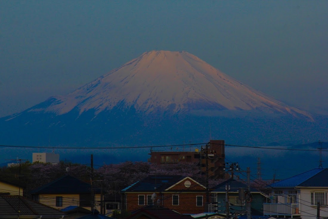 a0248459_16012452.jpg