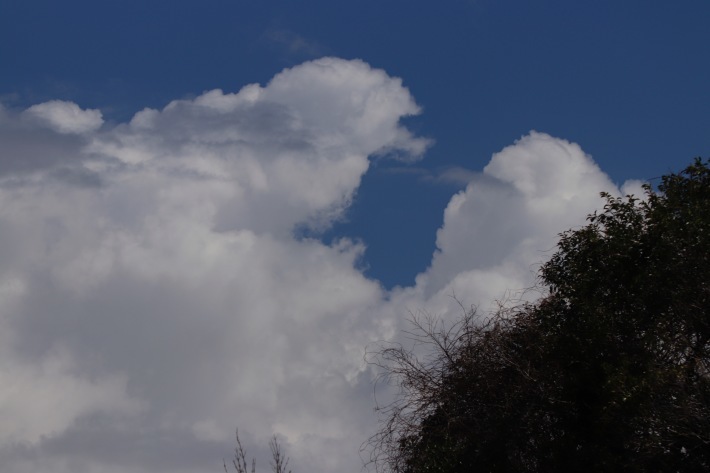 a0248459_16141346.jpg