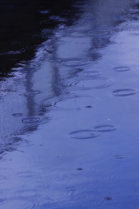 a0248459_16145728.jpg