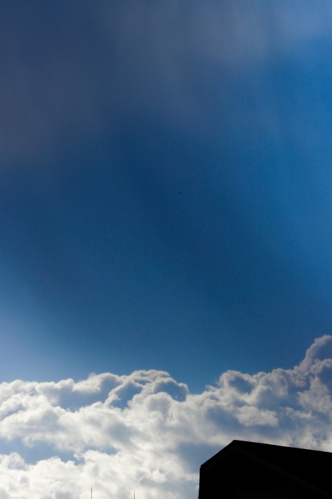 a0248459_19200943.jpg