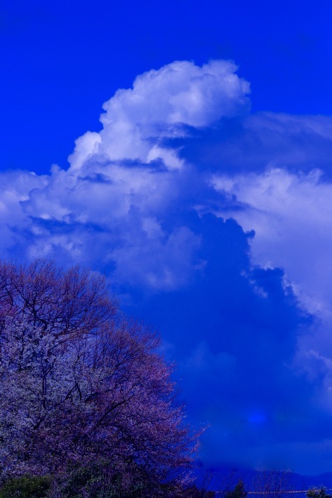 a0248459_19271078.jpg