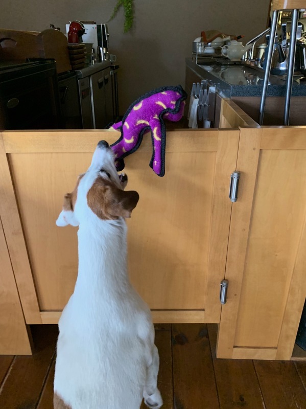 c0140260_21020416.jpeg