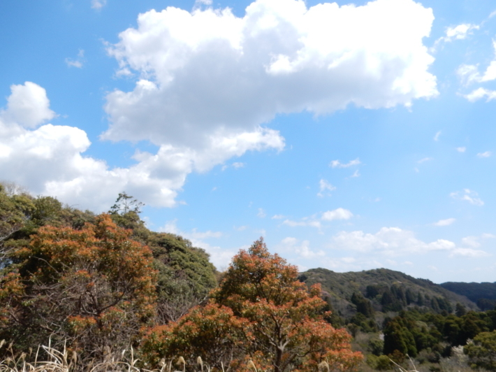 ’19,4,1(月)今日も桜公園を独り占め!_f0060461_07243800.jpg