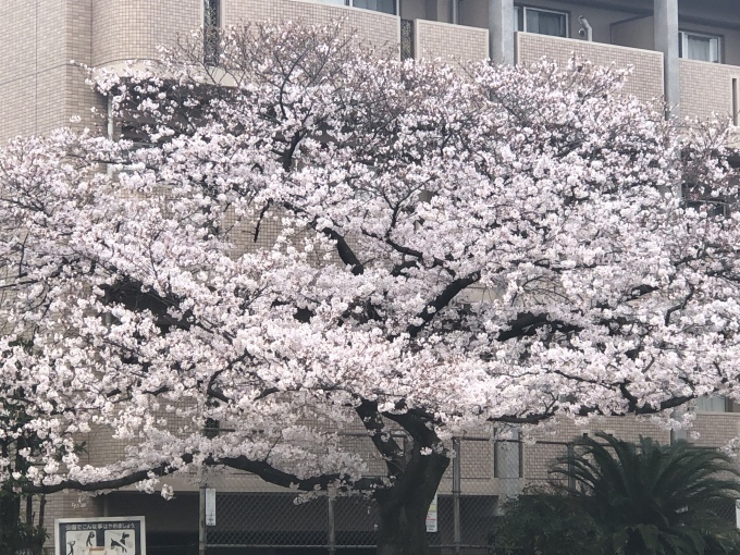 e0206464_09232374.jpeg