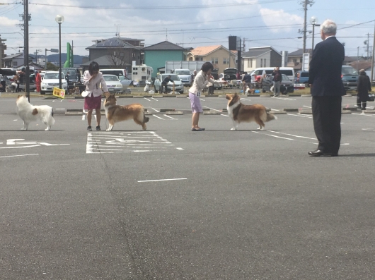 静岡展_f0126965_10325125.jpg