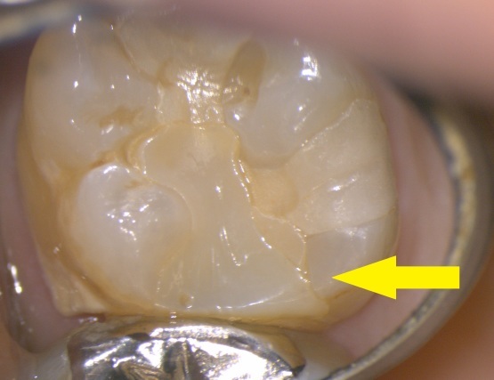 b0119466_22332000.jpg